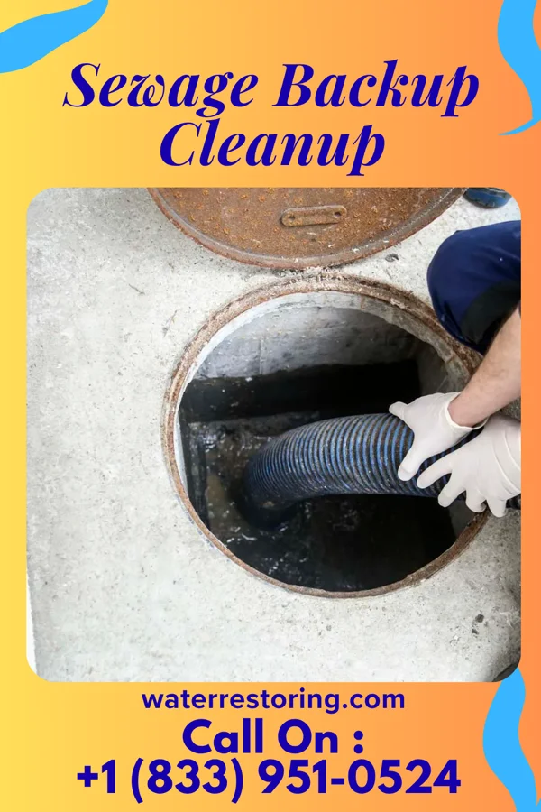 Sewage Backup Cleanup in Loxahatchee Groves, FL
