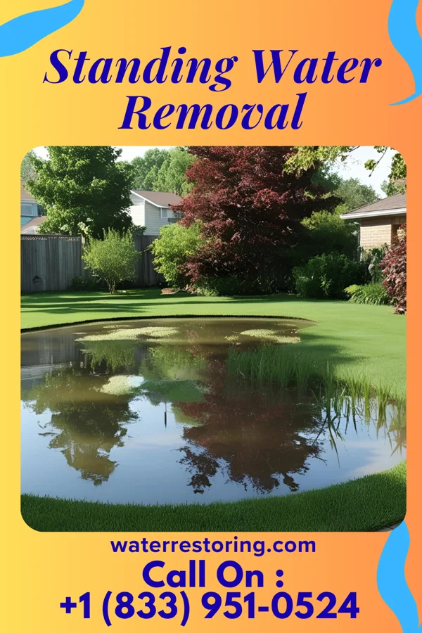 Standing Water Removal in Loxahatchee Groves, FL